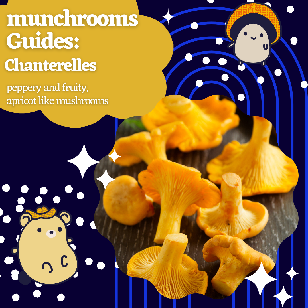 munchrooms Guides: Chanterelles